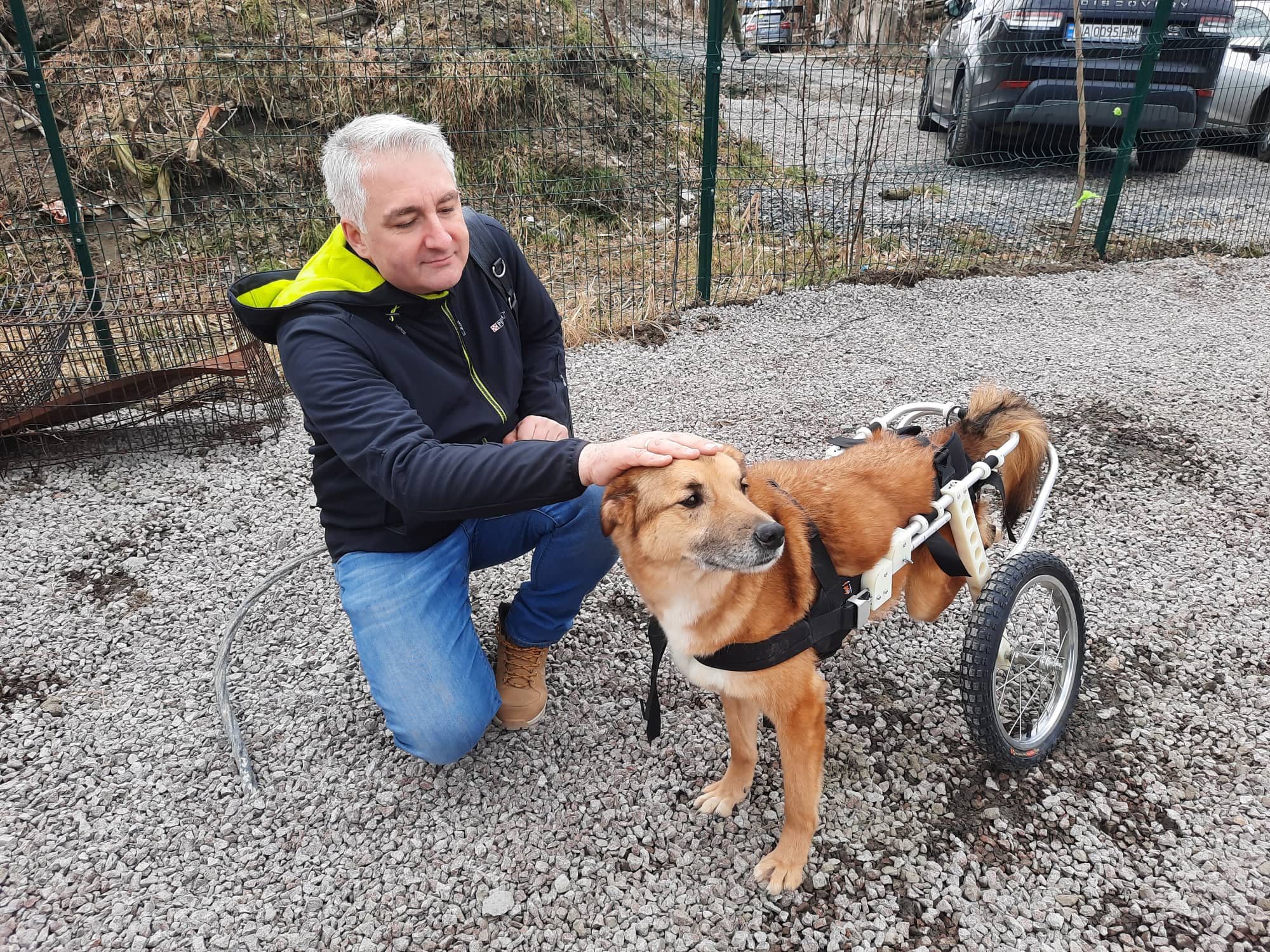 Рядом, чтобы помогать: Purina® и "Зоопатруль" объединились для спасения животных